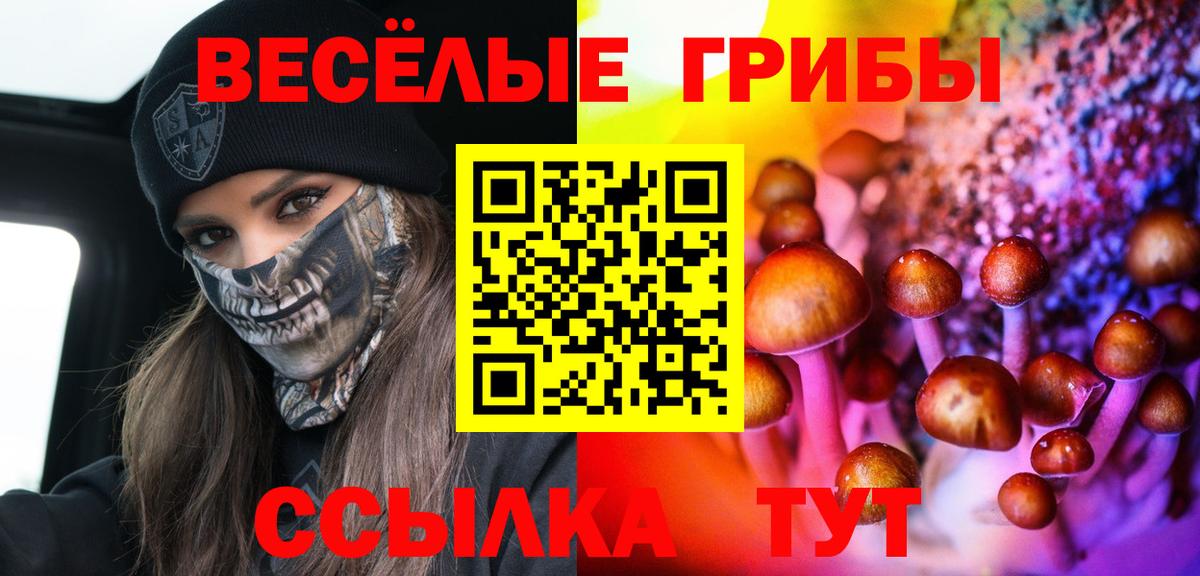 Галлюциногенные грибы Magic Shrooms Корсаков