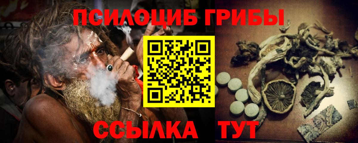 Псилоцибиновые грибы ЛСД  Псилоцибиновые грибы прущие грибы  Корсаков  Вход с VPN 